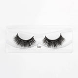 1Pair-T02