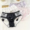 Women's Lace Satin Panties Sexy Low-Rise Briefs with Tassel Bow Transparent Breathable Cute Transparent Princess Thin Underwear